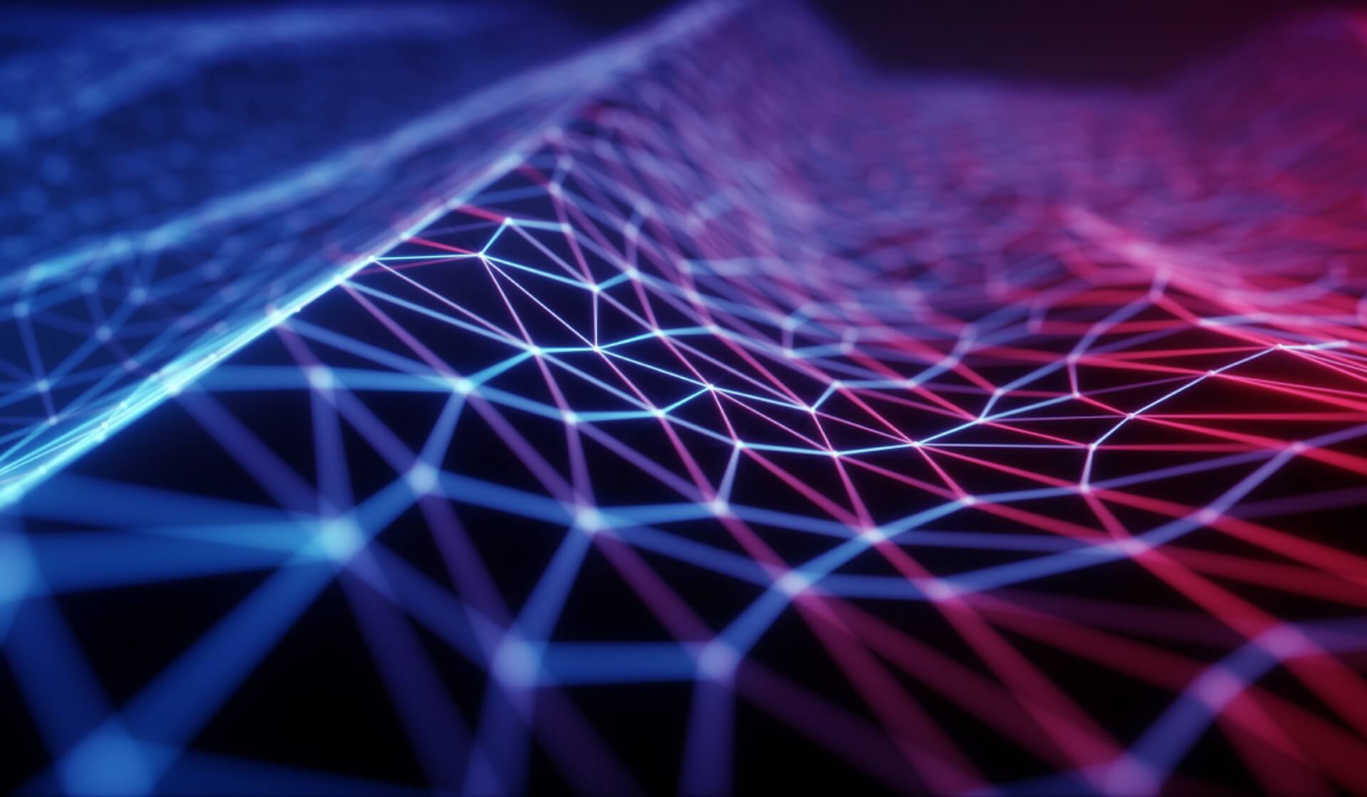 Digital Leadership Camp